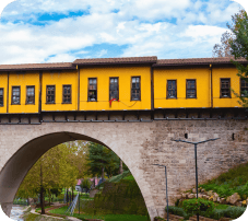 Bursa